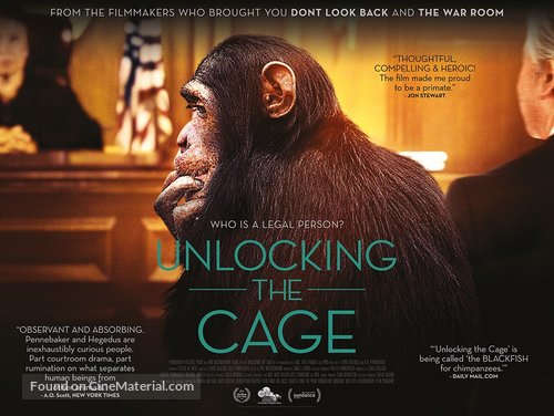 Unlocking the Cage - British Movie Poster