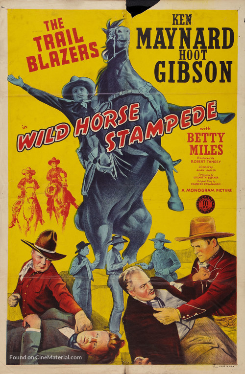 Wild Horse Stampede - Movie Poster