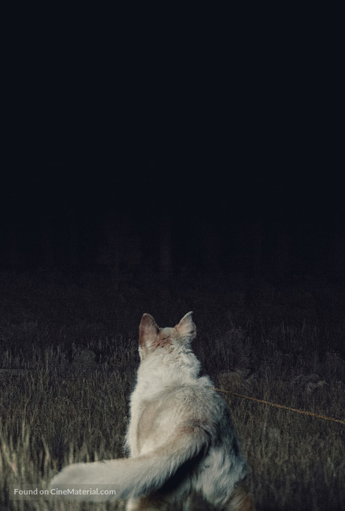 It Comes at Night - Key art