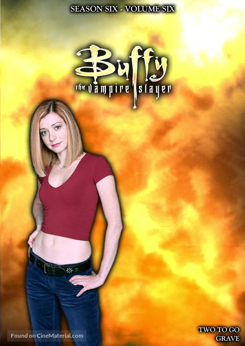 &quot;Buffy the Vampire Slayer&quot; - DVD movie cover