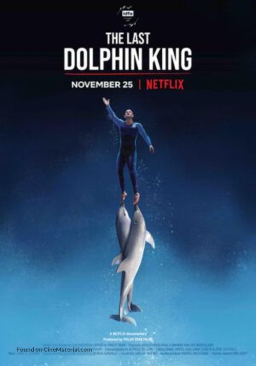 The Last Dolphin King - Spanish Movie Poster