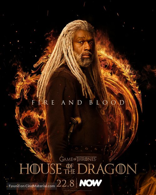 &quot;House of the Dragon&quot; - Irish Movie Poster