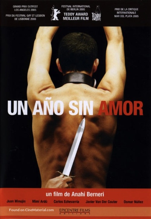 Un a&ntilde;o sin amor - French Movie Cover