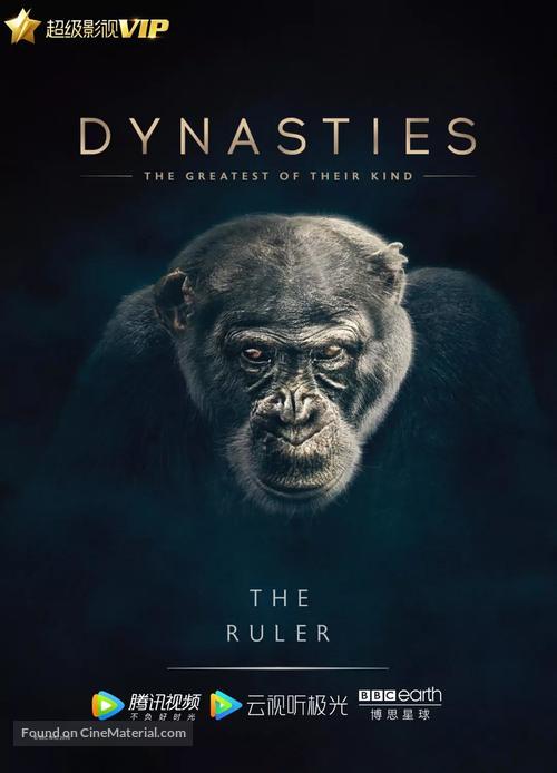 &quot;Dynasties&quot; - Chinese Movie Poster