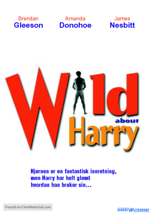 Wild About Harry - Norwegian poster