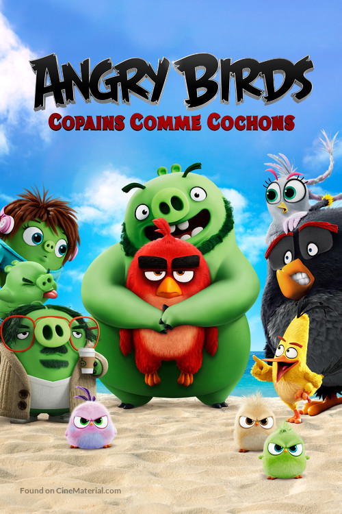 The Angry Birds Movie 2 - French Movie Cover