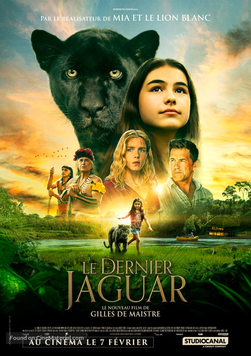 Le dernier jaguar - French Movie Poster