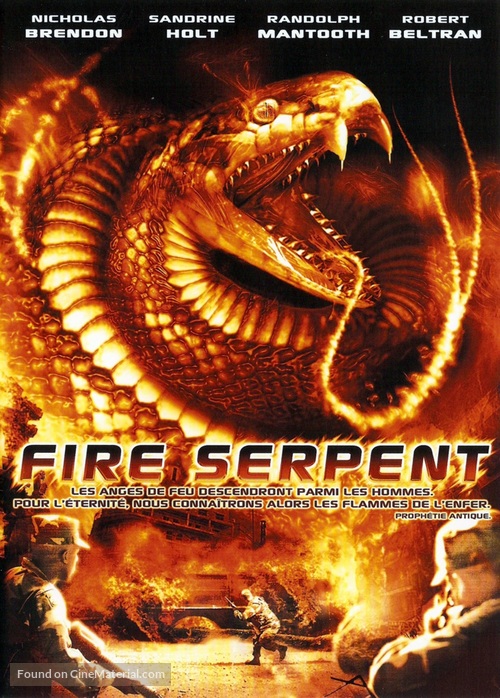 Fire Serpent - French DVD movie cover