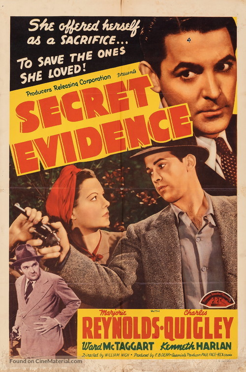 Secret Evidence - Movie Poster