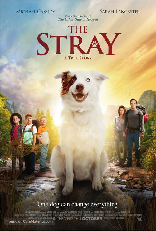 The Stray - Movie Poster