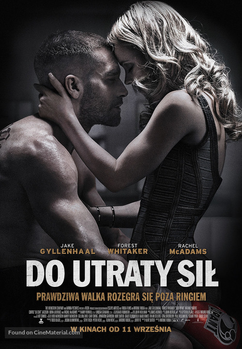 Southpaw - Polish Movie Poster