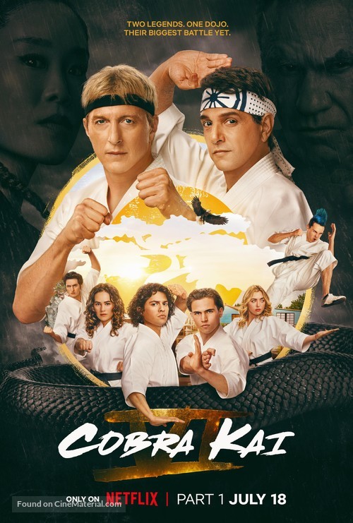 &quot;Cobra Kai&quot; - Movie Poster