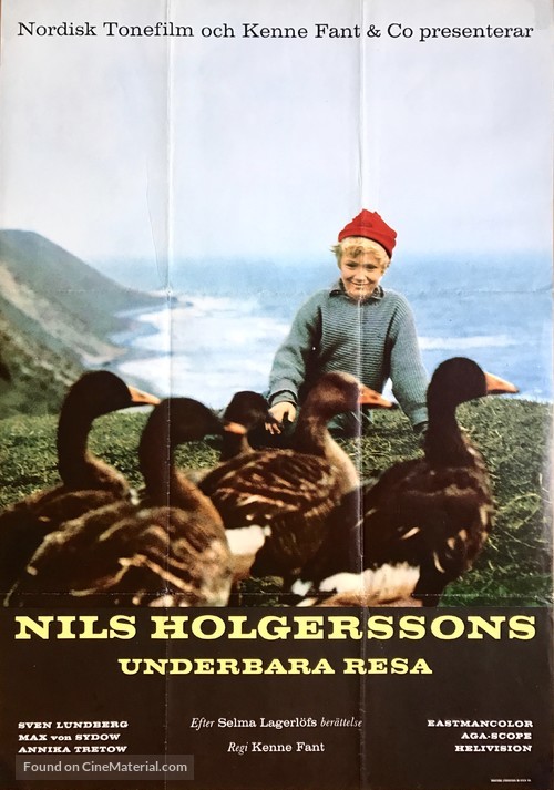 Nils Holgerssons underbara resa - Swedish Movie Poster