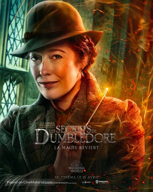 Fantastic Beasts: The Secrets of Dumbledore - French Movie Poster