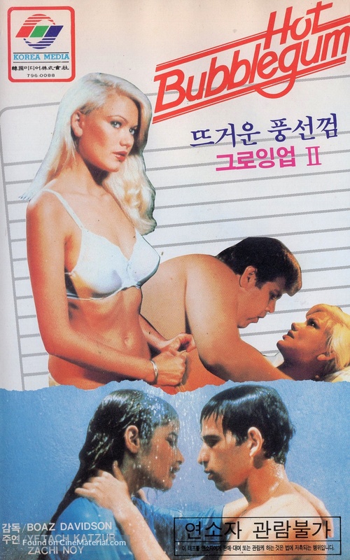 Shifshuf Naim - South Korean VHS movie cover