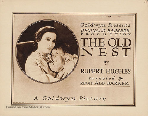 The Old Nest       - Movie Poster