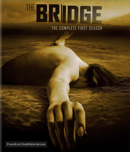 &quot;The Bridge&quot; - DVD movie cover