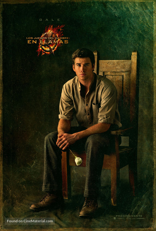 The Hunger Games: Catching Fire - Spanish Movie Poster