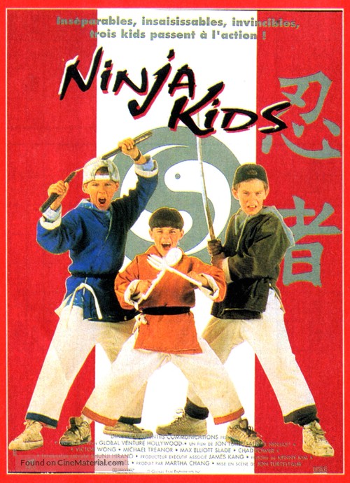 3 Ninjas - French Movie Poster