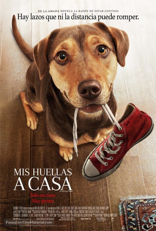 A Dog&#039;s Way Home - Argentinian Movie Poster