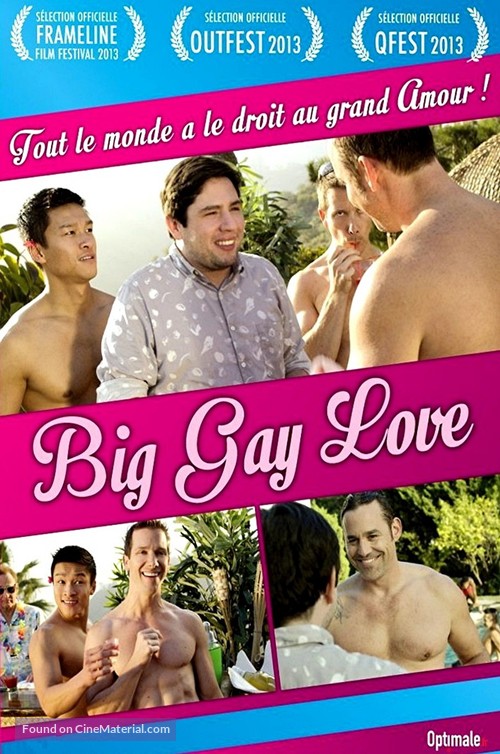 Big Gay Love - French DVD movie cover