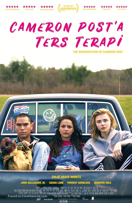 The Miseducation of Cameron Post - Turkish Movie Poster
