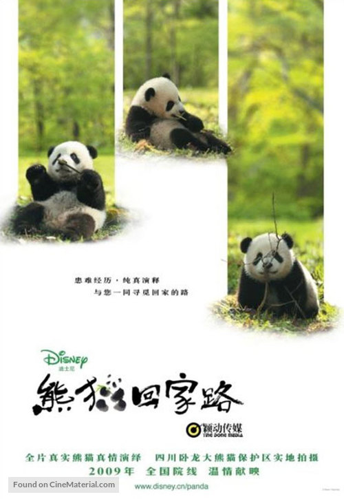Touch of the Panda - Chinese Movie Poster
