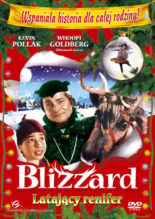 Blizzard - Polish DVD movie cover