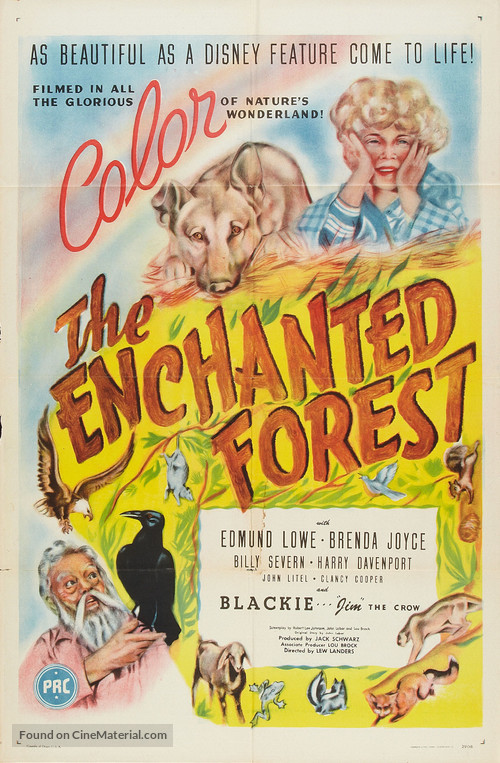 The Enchanted Forest - Movie Poster