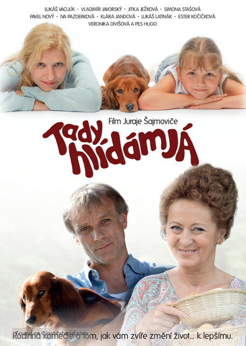 Tady hl&iacute;d&aacute;m j&aacute; - Czech DVD movie cover