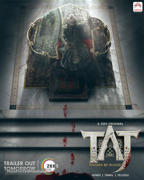 &quot;Taj: Divided by Blood&quot; - Indian Movie Poster