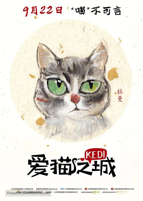 Kedi - Chinese Movie Poster