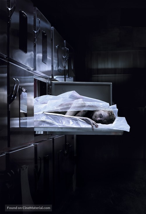 The Possession of Hannah Grace - Key art