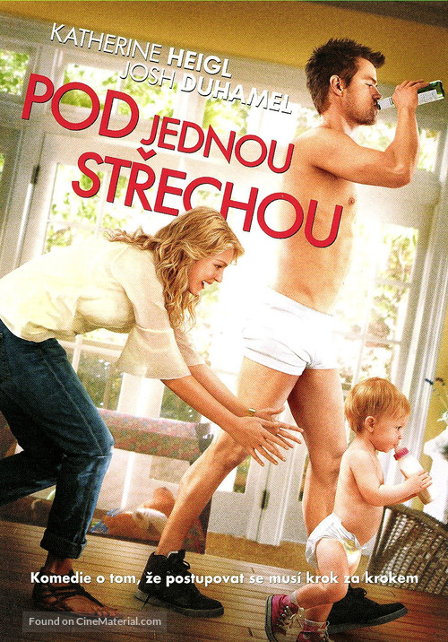 Life as We Know It - Czech DVD movie cover