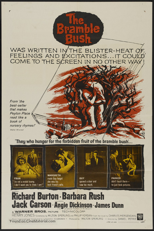 The Bramble Bush - Movie Poster