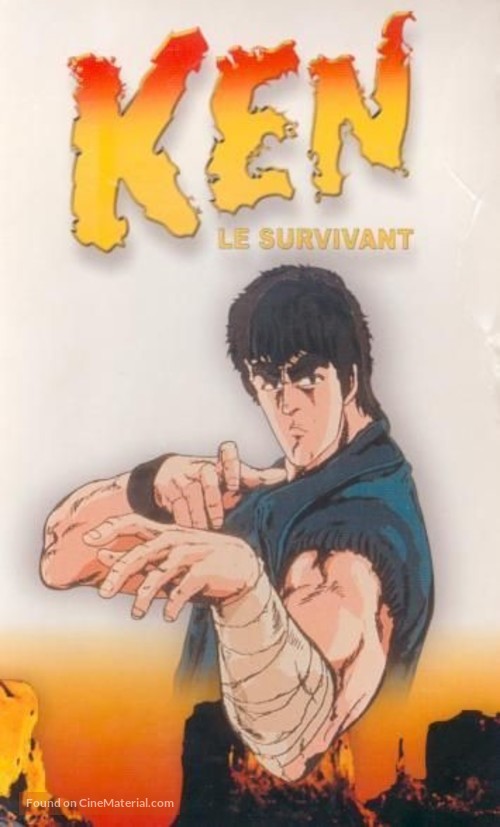 &quot;Hokuto no Ken&quot; - French VHS movie cover