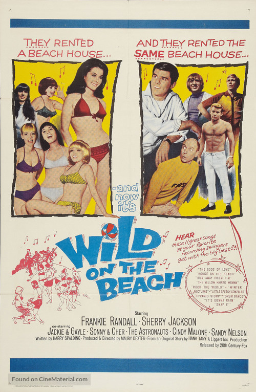 Wild on the Beach - Movie Poster