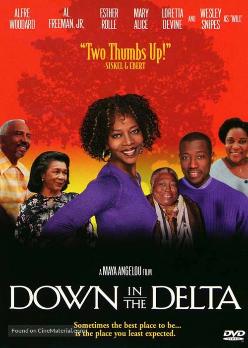 Down In The Delta - poster