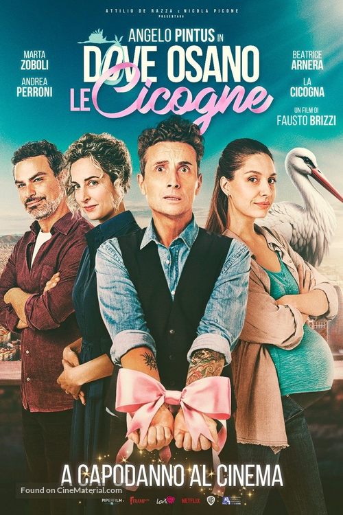 Dove osano le cicogne - Italian Movie Poster