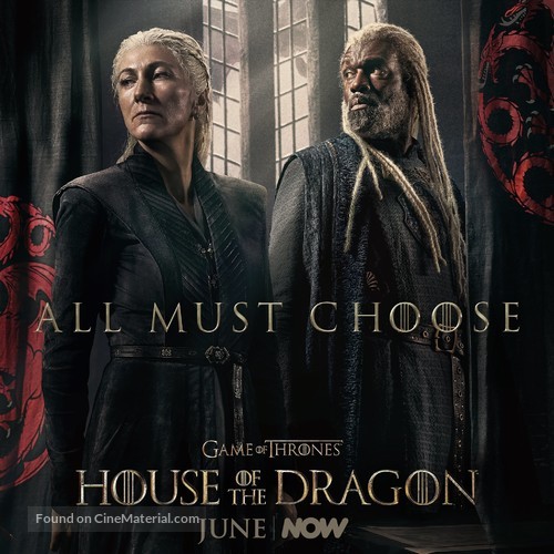 &quot;House of the Dragon&quot; - Irish Movie Poster