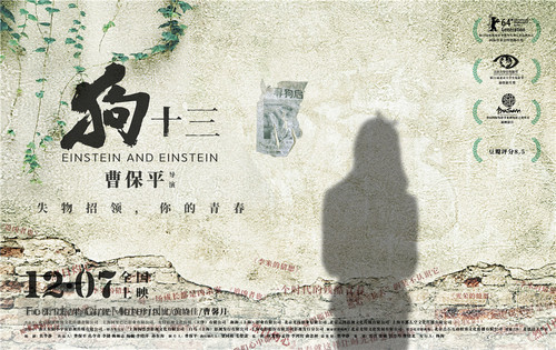 Einstein and Einstein - Chinese Movie Poster