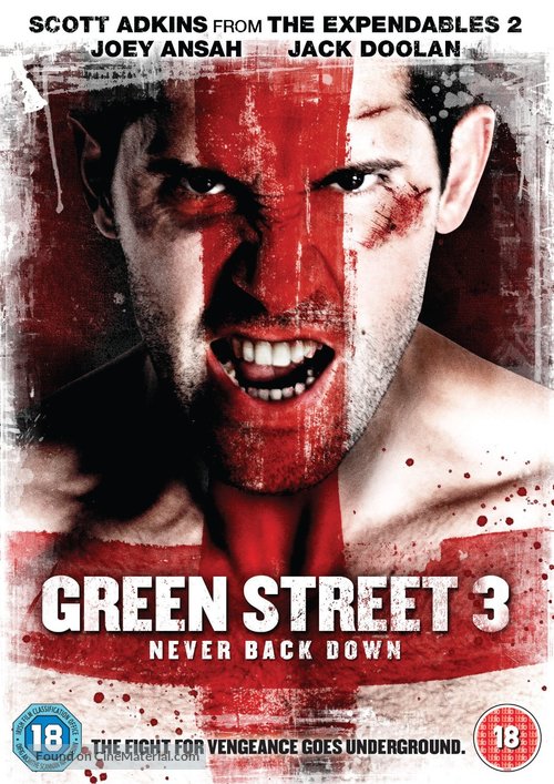 Green Street 3: Never Back Down - British DVD movie cover