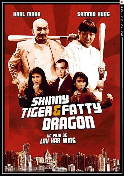 Shou hu fei long - French DVD movie cover