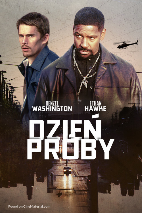 Training Day - Polish Movie Cover