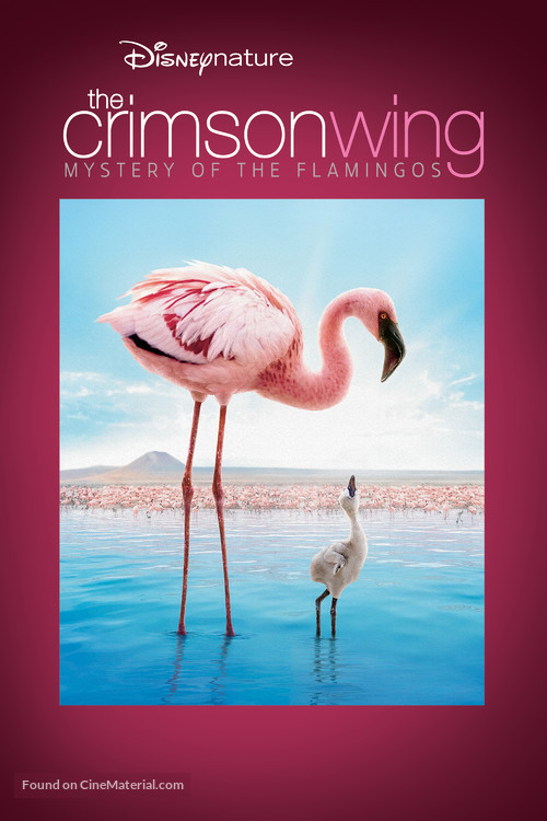 The Crimson Wing: Mystery of the Flamingos - DVD movie cover