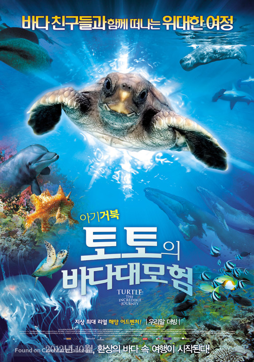 Turtle: The Incredible Journey - South Korean Movie Poster