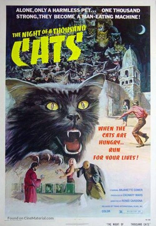 La noche de los mil gatos - Movie Poster
