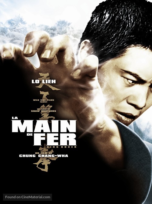 Tian xia di yi quan - French Movie Poster