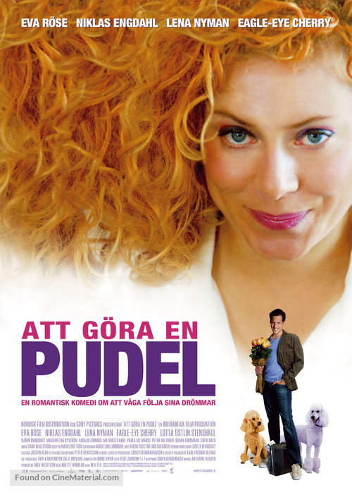 Att g&ouml;ra en pudel - Swedish Movie Poster