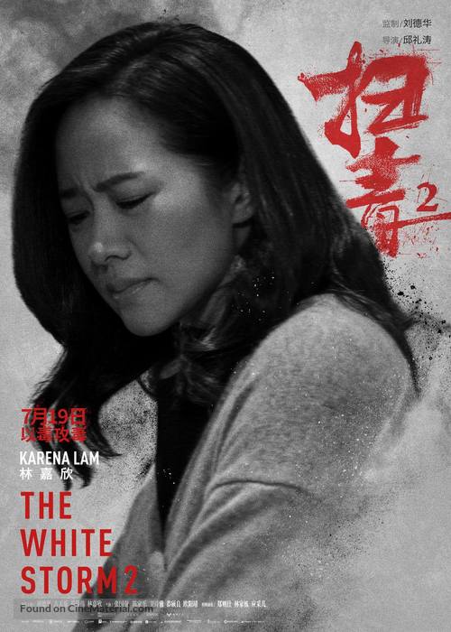 The White Storm 2: Drug Lords - Hong Kong Movie Poster